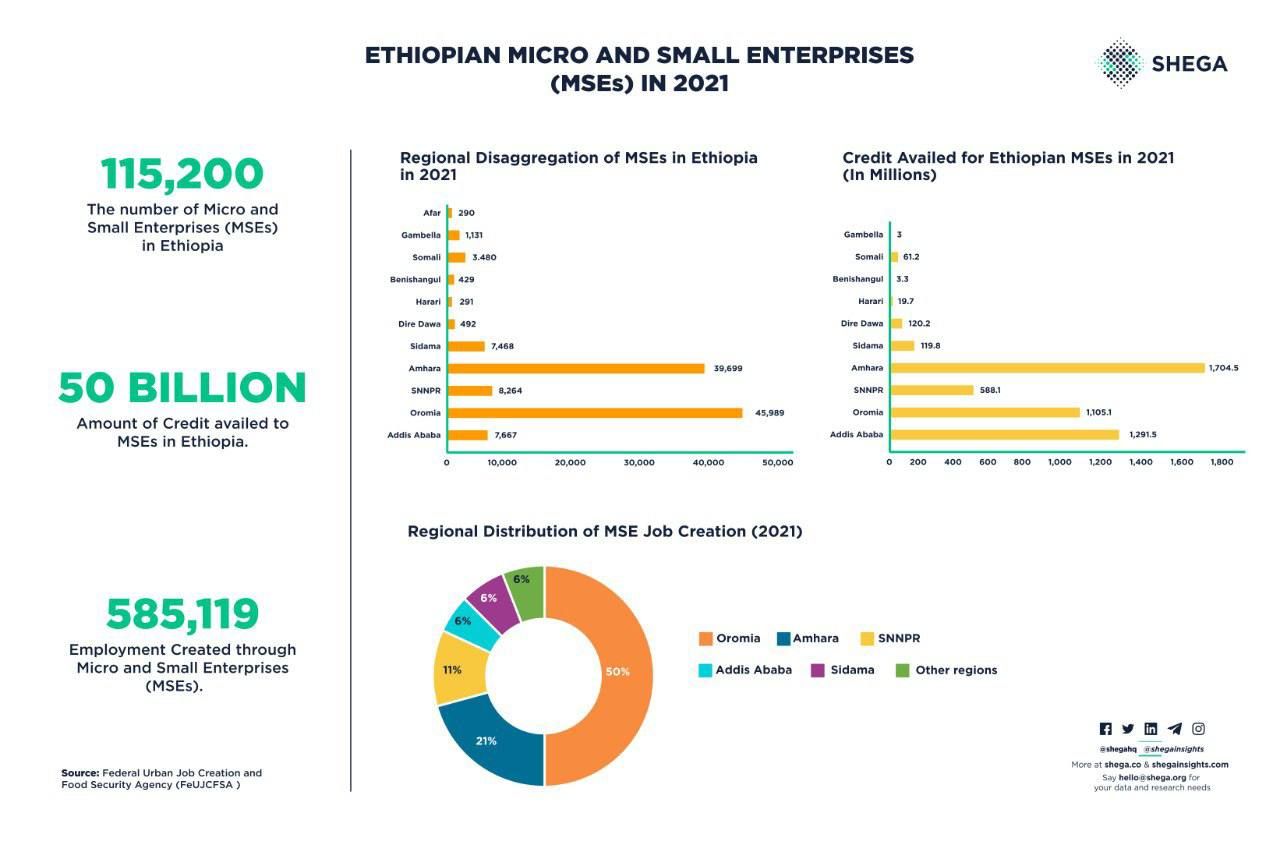 Ethiopian Micro and Small Enterprises (MSEs) in 2021